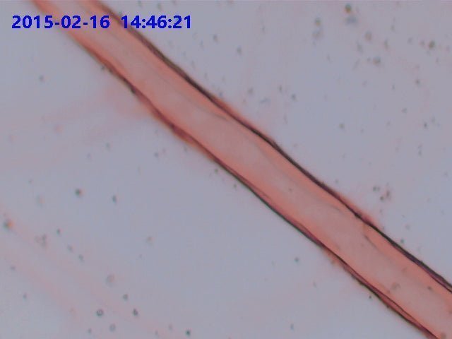 VCI-A2U SCMOS Series USB2.0 Eyepiece Camera - CISopto