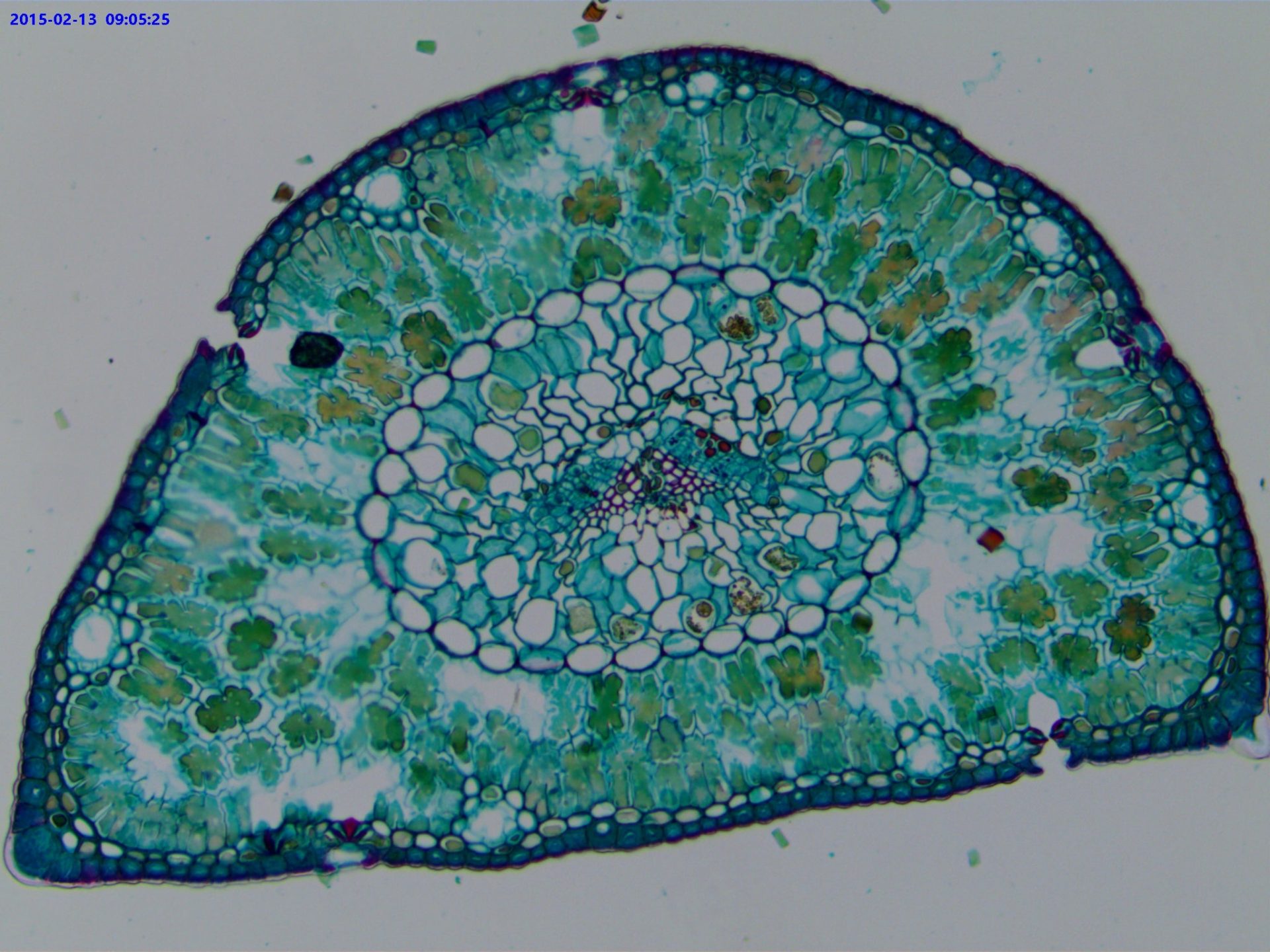 VCI-A2U Series C-mount USB2.0 CMOS Camera - CISopto