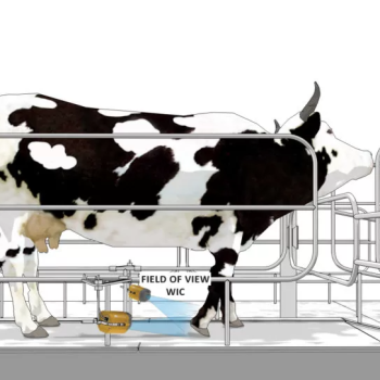 HOOF INSPECTOR - Contact-free hoof health monitoring - CISopto