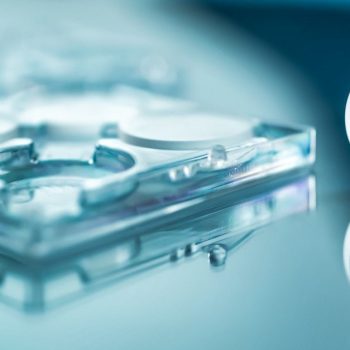 Depolarization Compensator - CISopto